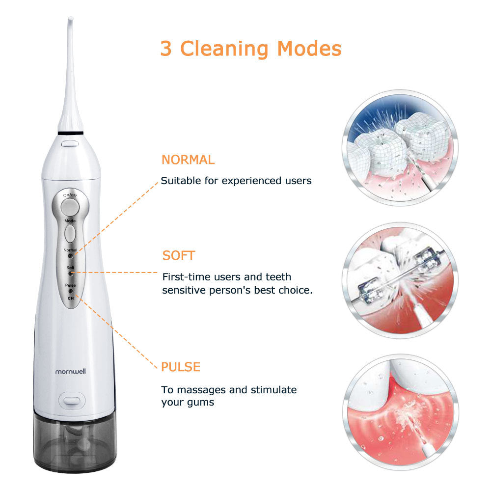 Portable Electric Flushing Device